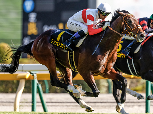 重賞初制覇を目指すダノンエアズロック(撮影：下野雄規)