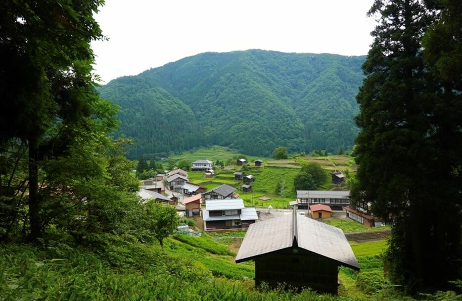 さらなる高台から板倉と種蔵集落、棚田を望む