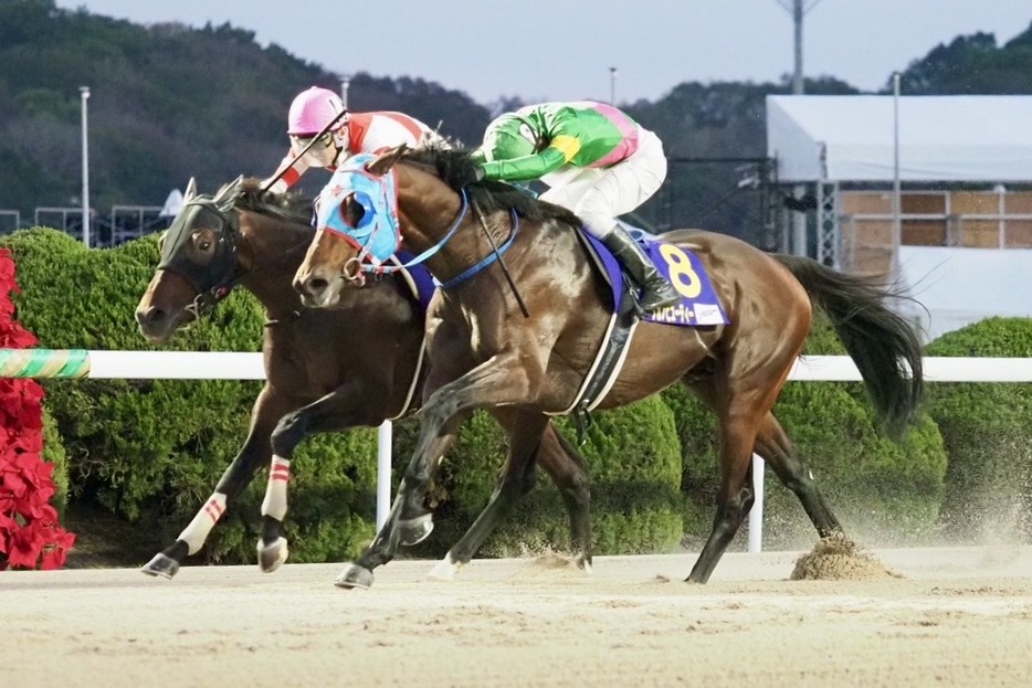 JBCスプリント・タガノビューティーと石橋脩騎手 (C)Y.Shigeyama