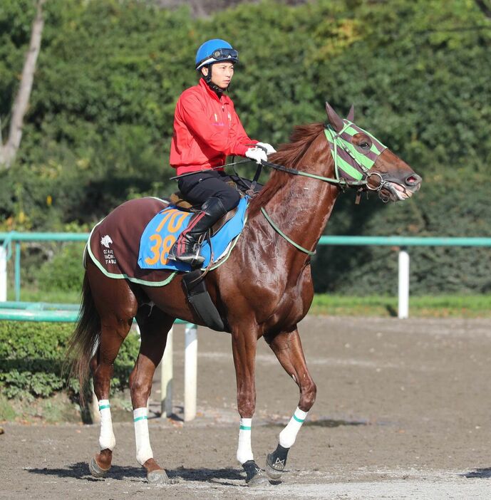 馬トク激走馬に算出されたショウナンライシン