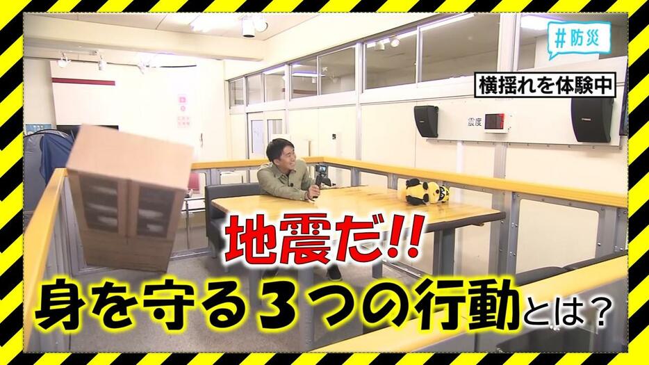 青森テレビ「わっち!!」月～金曜夕方4時25分から 「#わっちタグ」2024年11月14日(木)放送回より