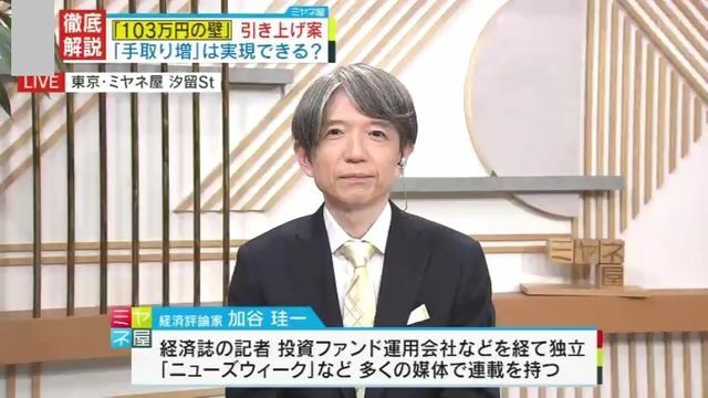 経済評論家・加谷珪一氏に聞く“年収の壁”