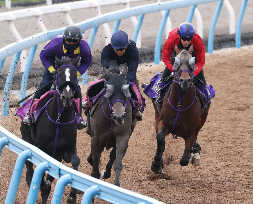 1週間追い切りを行うレイベリング（右）（2024年11月6日撮影）