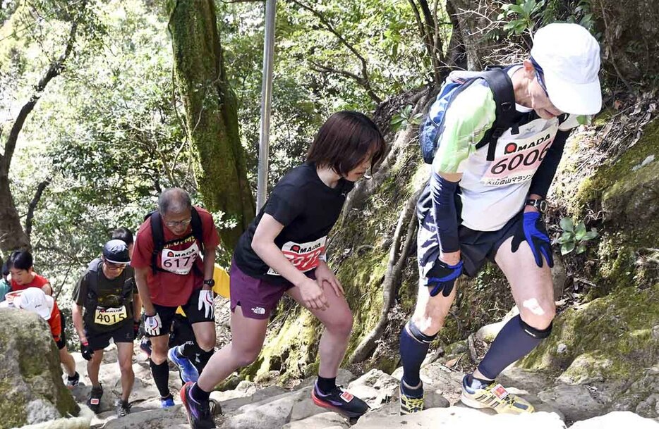 高低差６５０メートルを駆け登る大山登山マラソン（伊勢原市提供、３月の大会から）