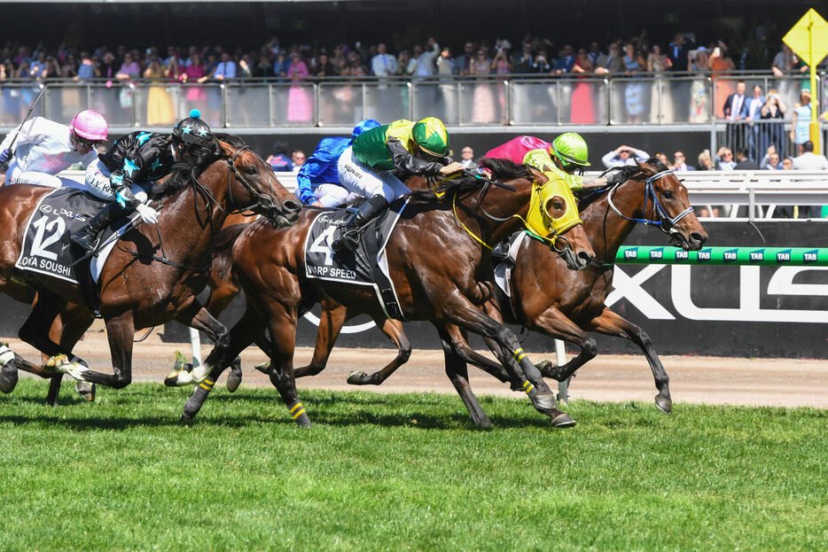 メルボルンカップ・ワープスピードと菅原明良騎手（Photo by Brett Holburt/Racing Photos）