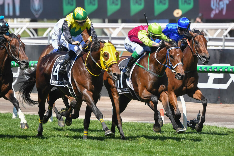 メルボルンカップ・ワープスピードと菅原明良騎手（Photo by Pat Scala/Racing Photos）