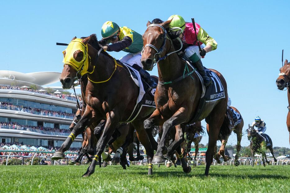 メルボルンカップ・ナイツチョイス（右）とワープスピード（左）（Photo by George Sal/Racing Photos）