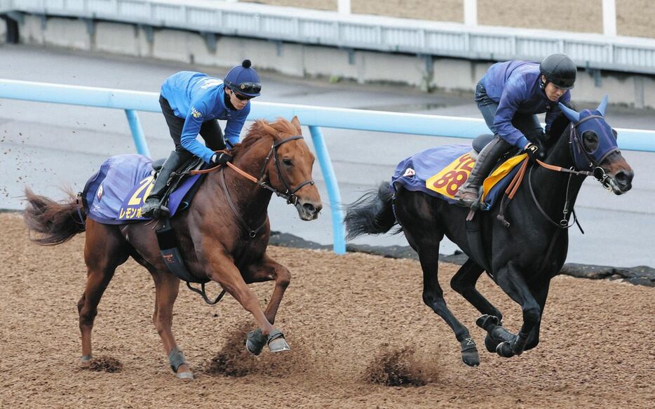 坂井を背にウッドチップコースでルージュアベリアと併せて追われるレモンポップ（左）＝美浦で