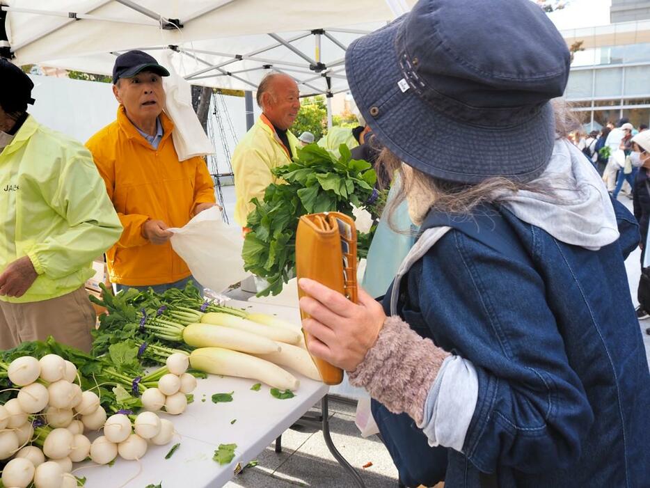 茅ヶ崎産野菜の販売ブース