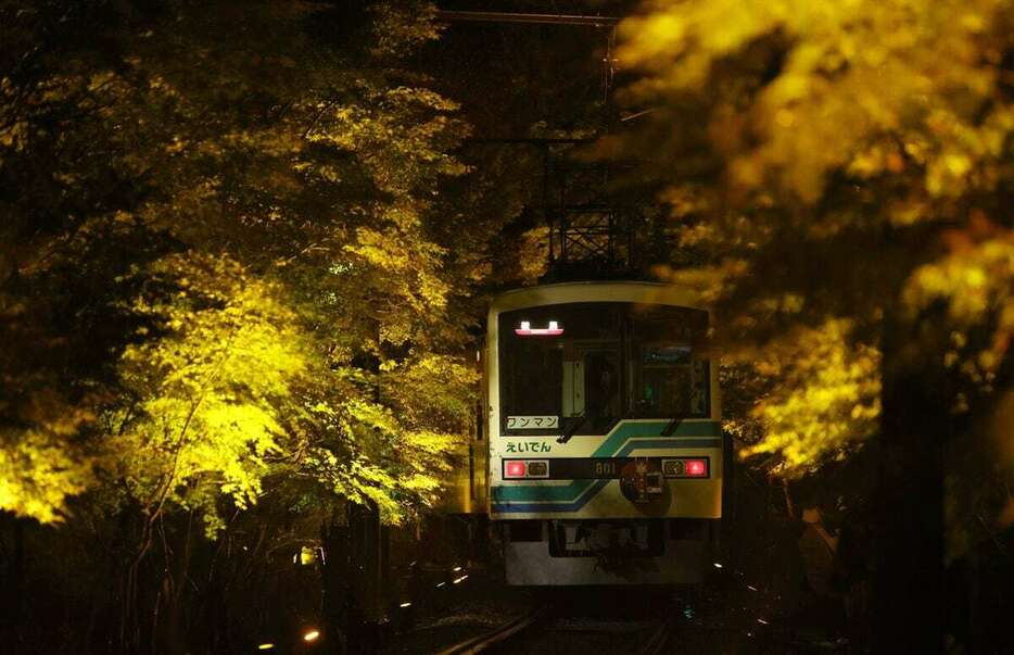 照らされたモミジの中を進む叡電の車両＝1日午後、京都市左京区（渡辺大樹撮影）