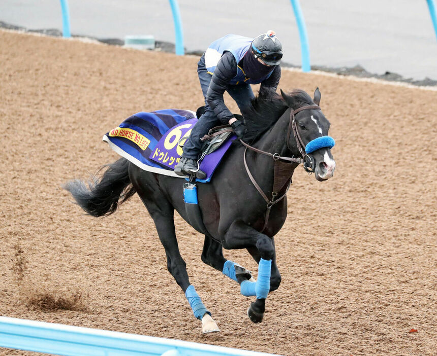 Wコースで追い切ったドゥレッツァ（カメラ・荒牧　徹）