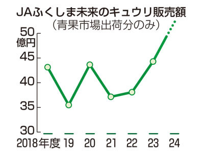 キュウリの販売額