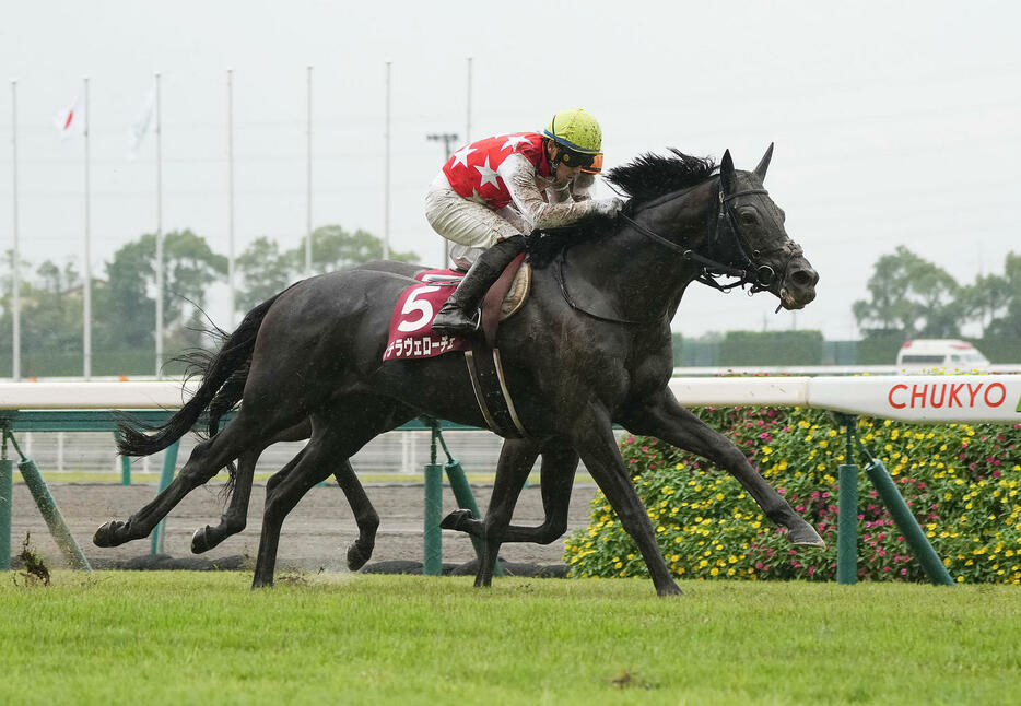 神戸新聞杯を制したステラヴェローチェ（2021年9月26日撮影）