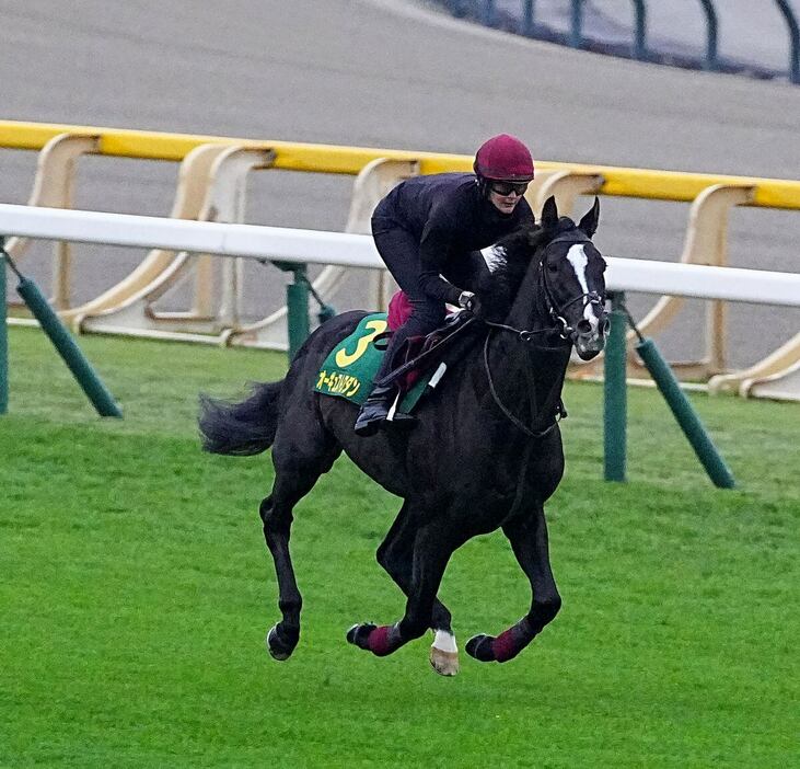 フットワークが柔らかなオーギュストロダン＝東京競馬場（撮影・土谷創造）