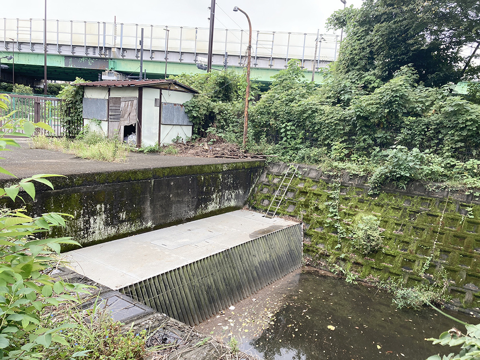 スタート地点の浅間橋。ここで流れは右の開渠部分から左の暗渠へと入っていく