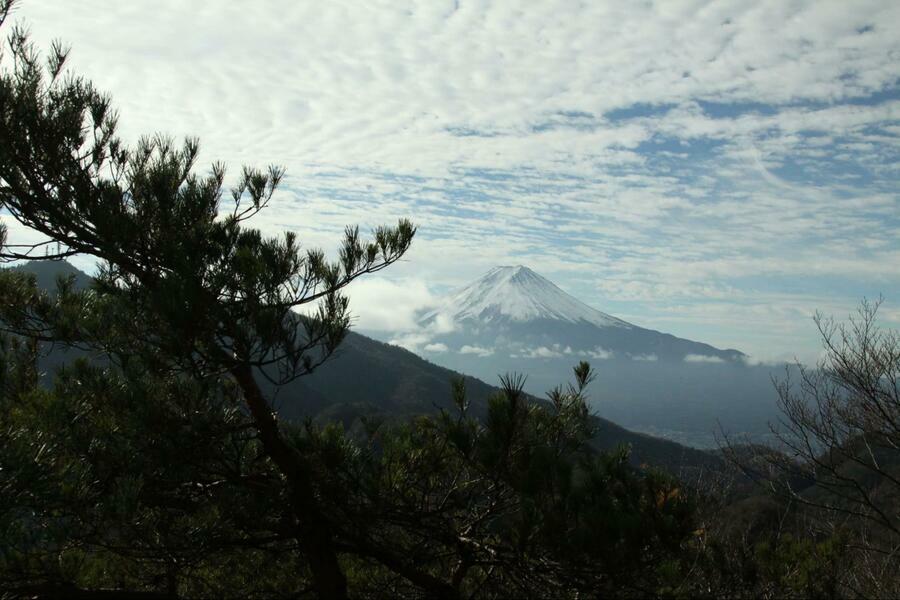 清八山から望む富士山。松の木の演出もあり絵に描いたような富士山をみることができた