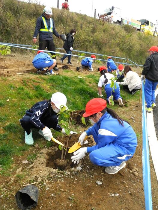 アナベルを植える児童たち。苗木の重さに苦戦する場面も