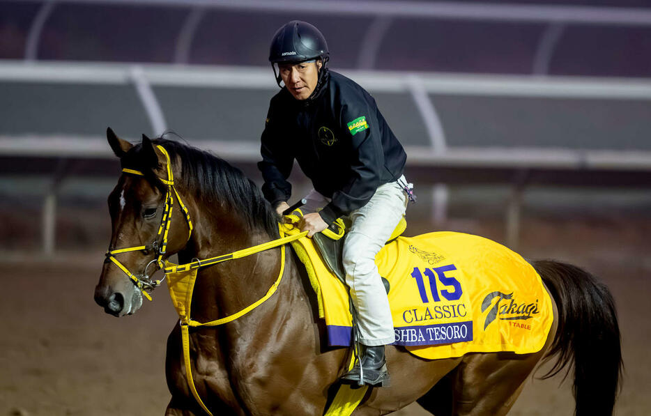 ウシュバテソーロ（C）Scott　Serio／Eclipse　Sportswire／Breeders　Cup