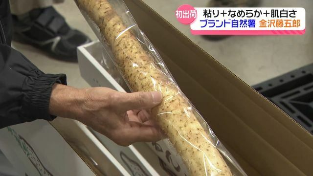 テレビ金沢NEWS