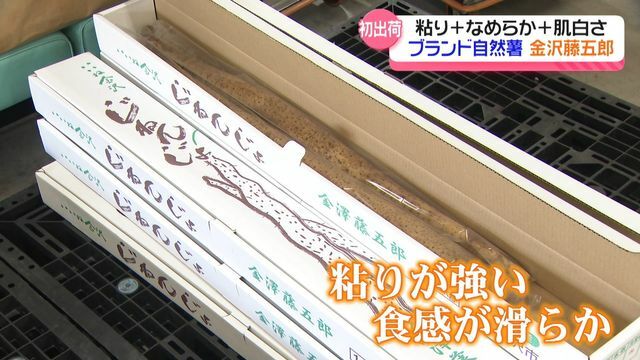 テレビ金沢NEWS