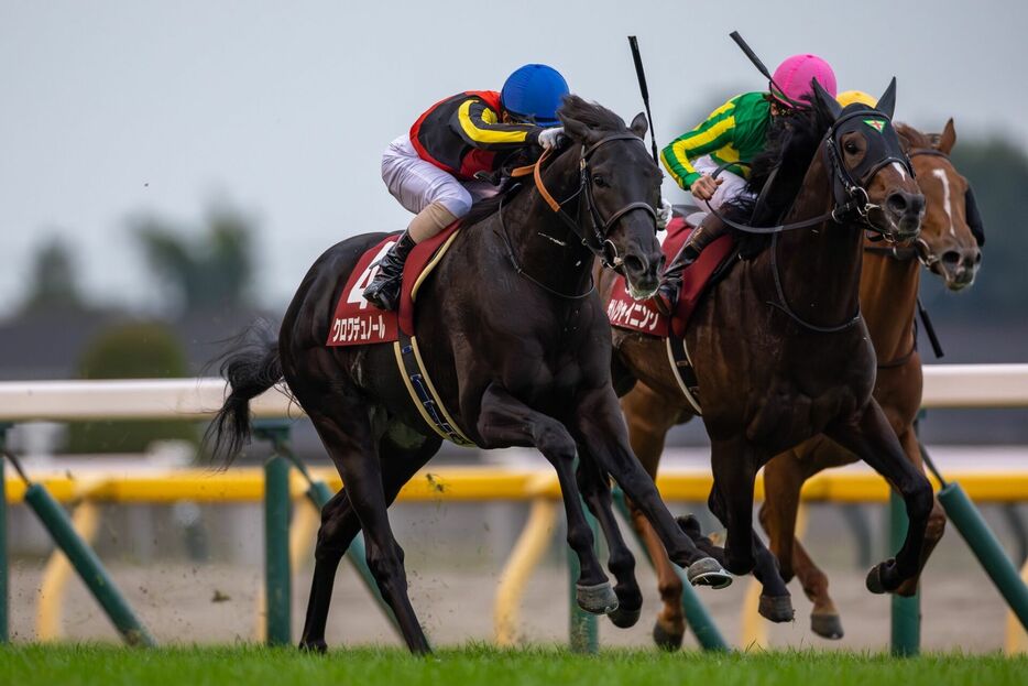 東京スポーツ杯2歳S・クロワデュノールと北村友一騎手