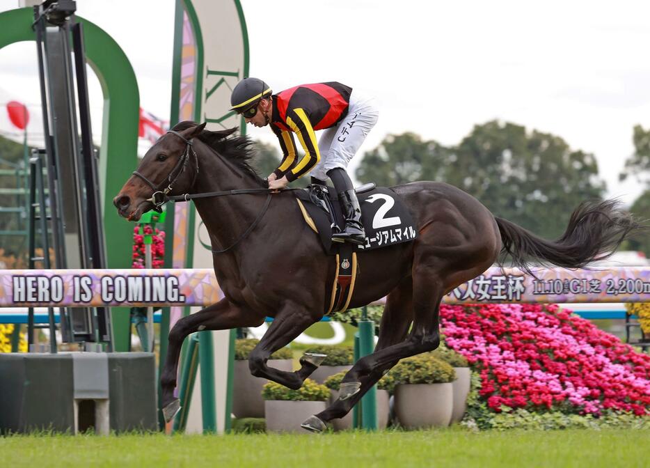 　黄菊賞を制したミュージアムマイル（撮影・石湯恒介）