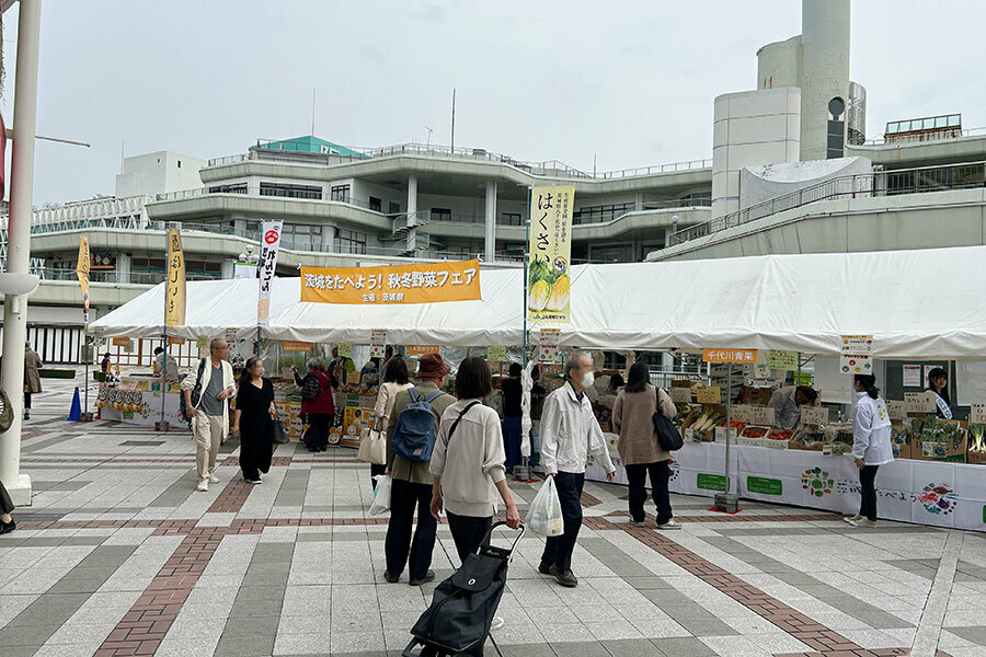 『茨城をたべよう秋冬野菜フェア2024in大阪』の様子（11月15日）