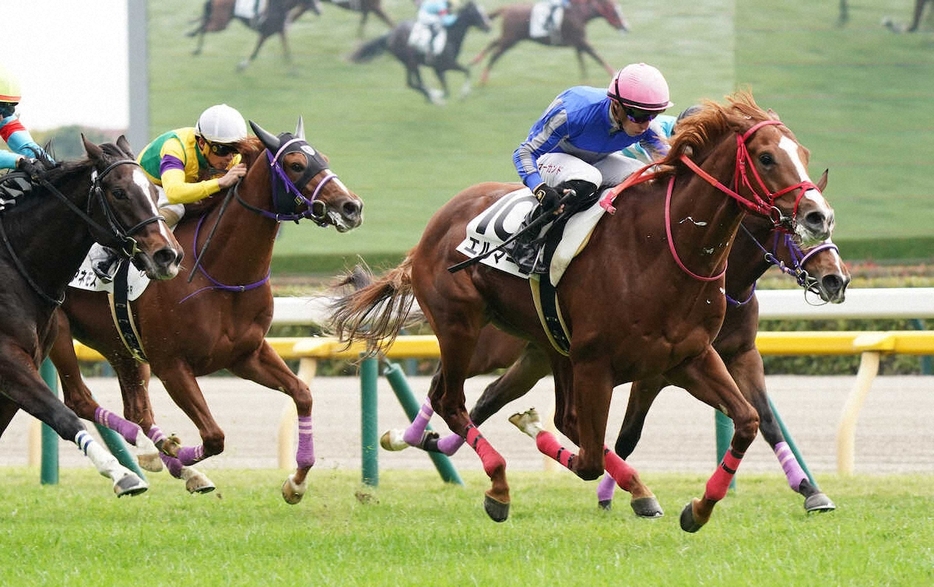 ＜東京4R＞新馬戦を制したエルマーゴ　（撮影・村上　大輔）