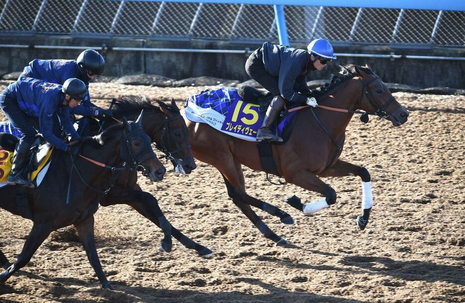 3頭併せで先着したブレイディヴェーグ（内）　＝11月13日、美浦トレセン（撮影・菅原和彦）