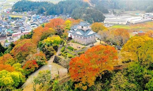 オレンジや黄に色づいた木々に包まれる越前大野城=福井県大野市