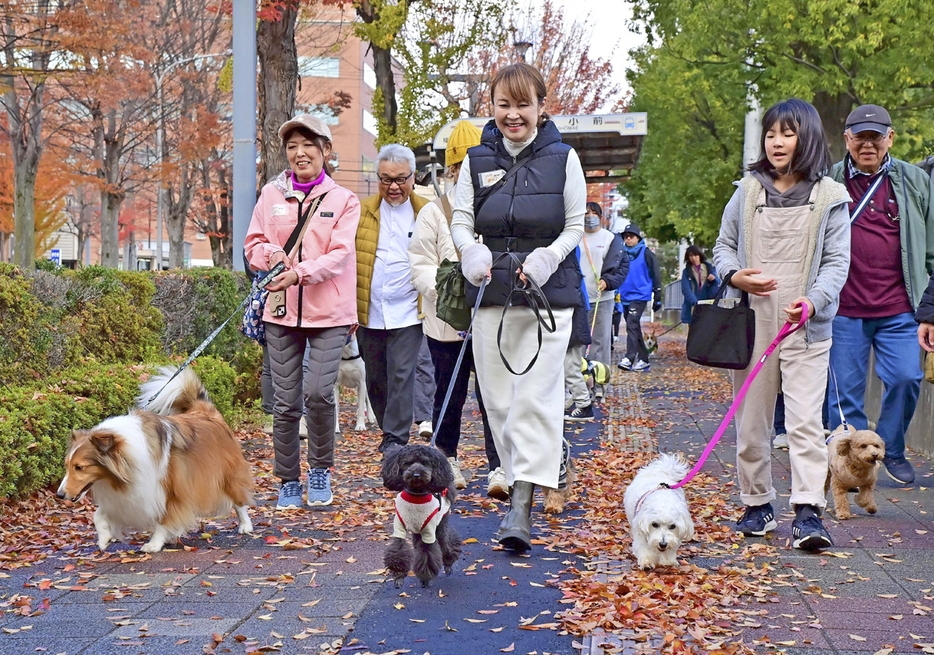 愛犬と一緒に初冬の市街地を歩く参加者＝福島市