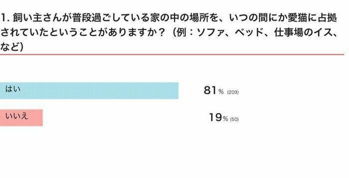 ※2024年8月実施「ねこのきもちアプリ」内アンケート調査（回答者数 259人）