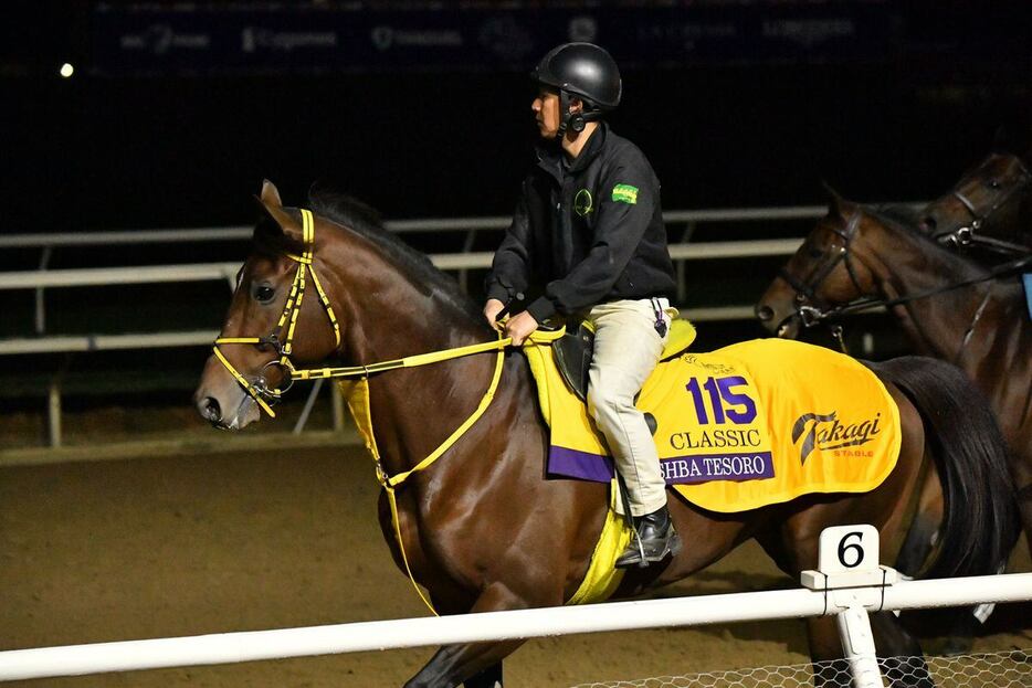 ウシュバテソーロ＝現地10月31日、米デルマー競馬場（撮影Katsumi.Saito）