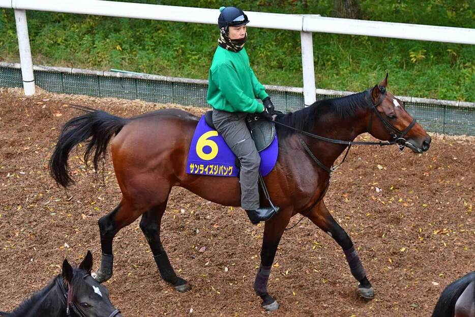 みやこＳを勝ってさらに上昇中の３歳馬サンライズジパング