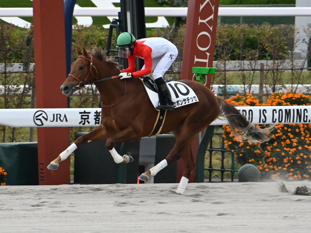 京都4R新馬戦を制したセボンサデッセ(c)netkeiba