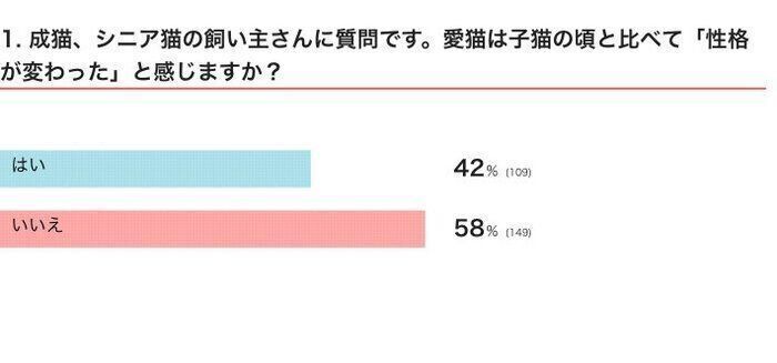 ※2024年9月実施「ねこのきもちアプリ」内アンケート調査（回答者数 258人）