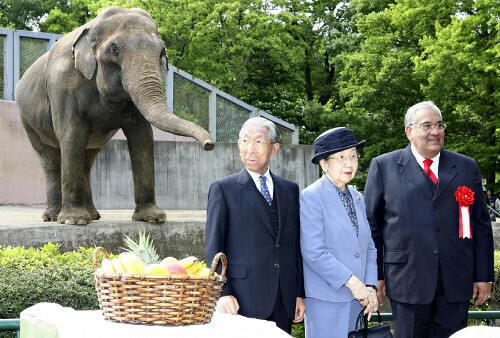 スリランカのアヌーラ・バンダラナイケ国家遺産大臣（右）とともにスリランカゾウのアヌーラ（奥）を視察される三笠宮崇仁さまと百合子さまご夫妻（東京都日野市の多摩動物公園で、２００７年５月）