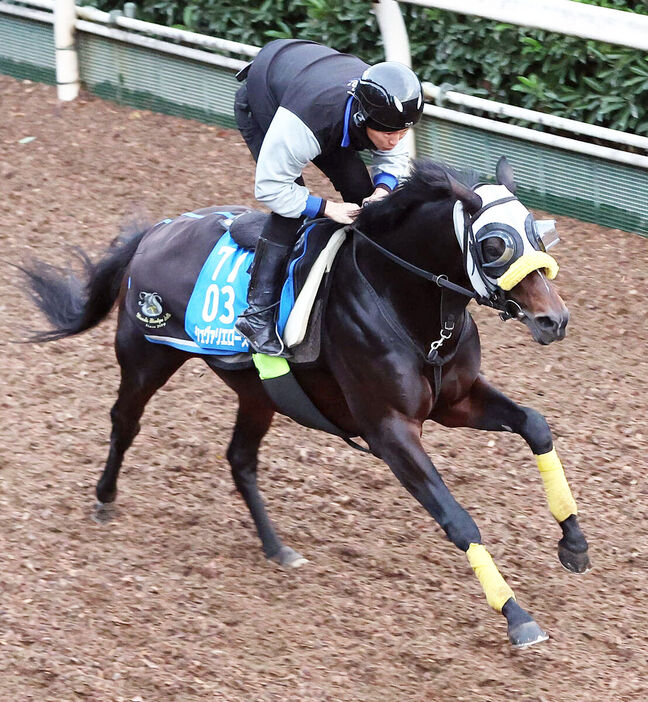 坂路を単走で追い切るシュヴァリエローズ