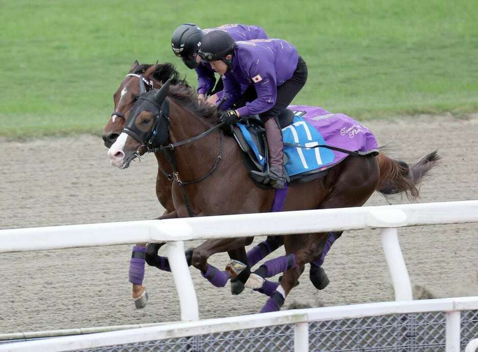 ドウデュース（奥）＝栗東トレセン（撮影・安部光翁）