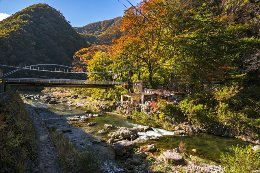 川治温泉。温泉街を流れる男鹿川でニジマスを狙う。美しい紅葉が彩る日本の秋（撮影：杉村航）