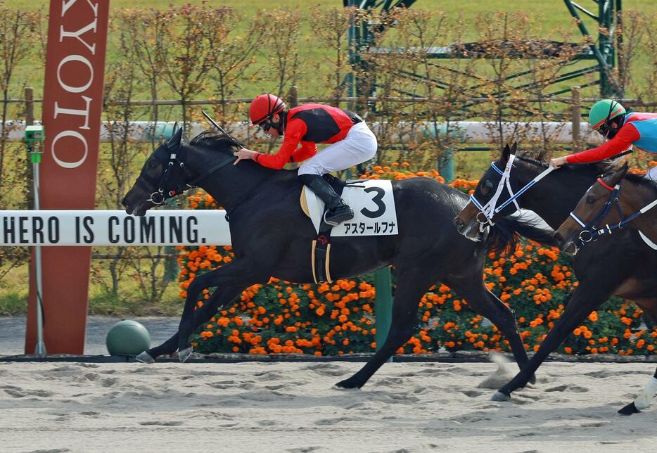 　新馬戦を快勝したアスタールフナ（撮影・石湯恒介）