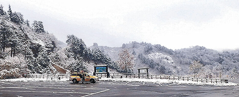 真っ白に雪化粧した山の木々＝７日午前７時２０分、白山白川郷ホワイトロード栂の木台駐車場（白山林道石川管理事務所提供）