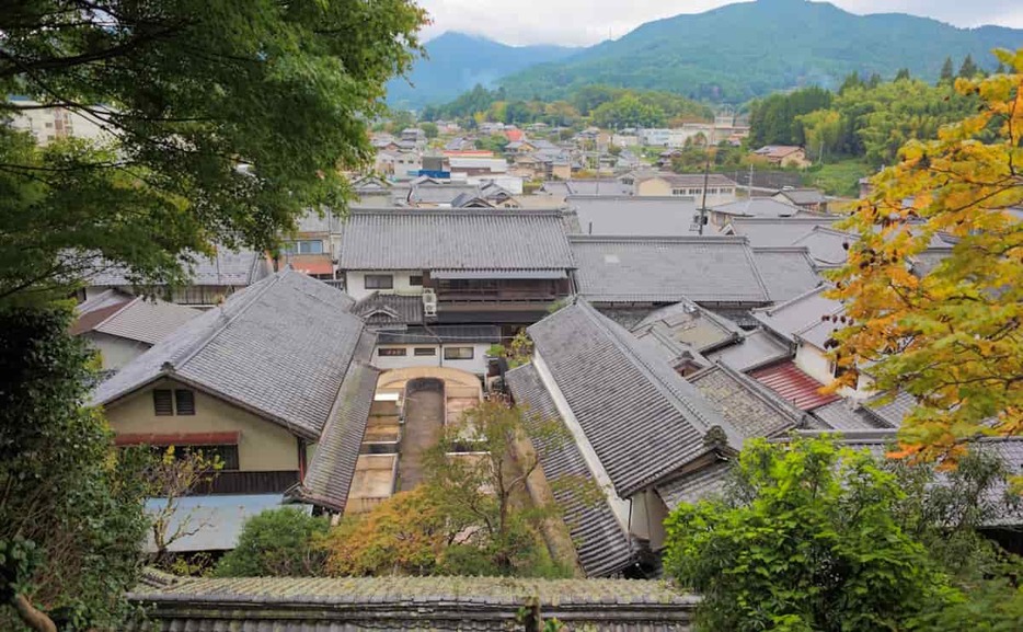 写真：森野旧薬園がある裏山から望む宇陀松山地区。眼下に森野吉野葛本舗の建物群と旧工場の晒し場が見える