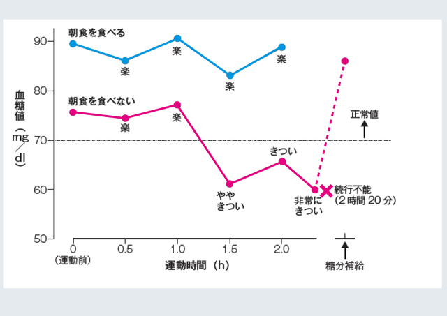 朝食の有無と運動能力との関係 (山本、2000)