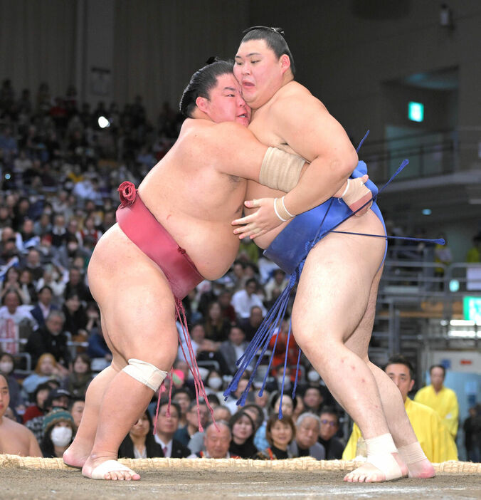 大栄翔（左）の寄りに後退する大の里（カメラ・今西　淳）