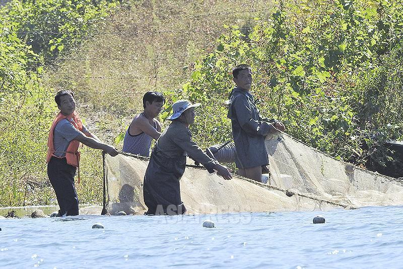 （クリックして拡大）これも2019年9月の撮影。水がきれいな鴨緑江では川魚も豊富だ。川辺で網漁をする姿は今やほとんど見ることができない。