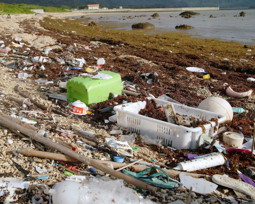 沖縄県石垣島の海岸にたまった大量のプラスチックごみ＝2021年11月