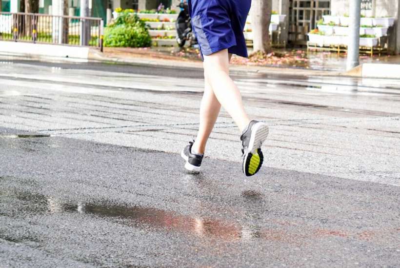 （写真：南日本新聞社）