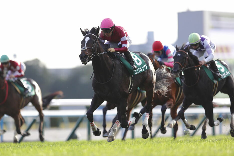 京都2歳S・エリキングと川田将雅騎手