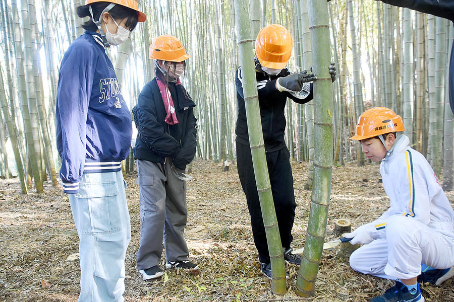 竹の伐採に挑戦する児童